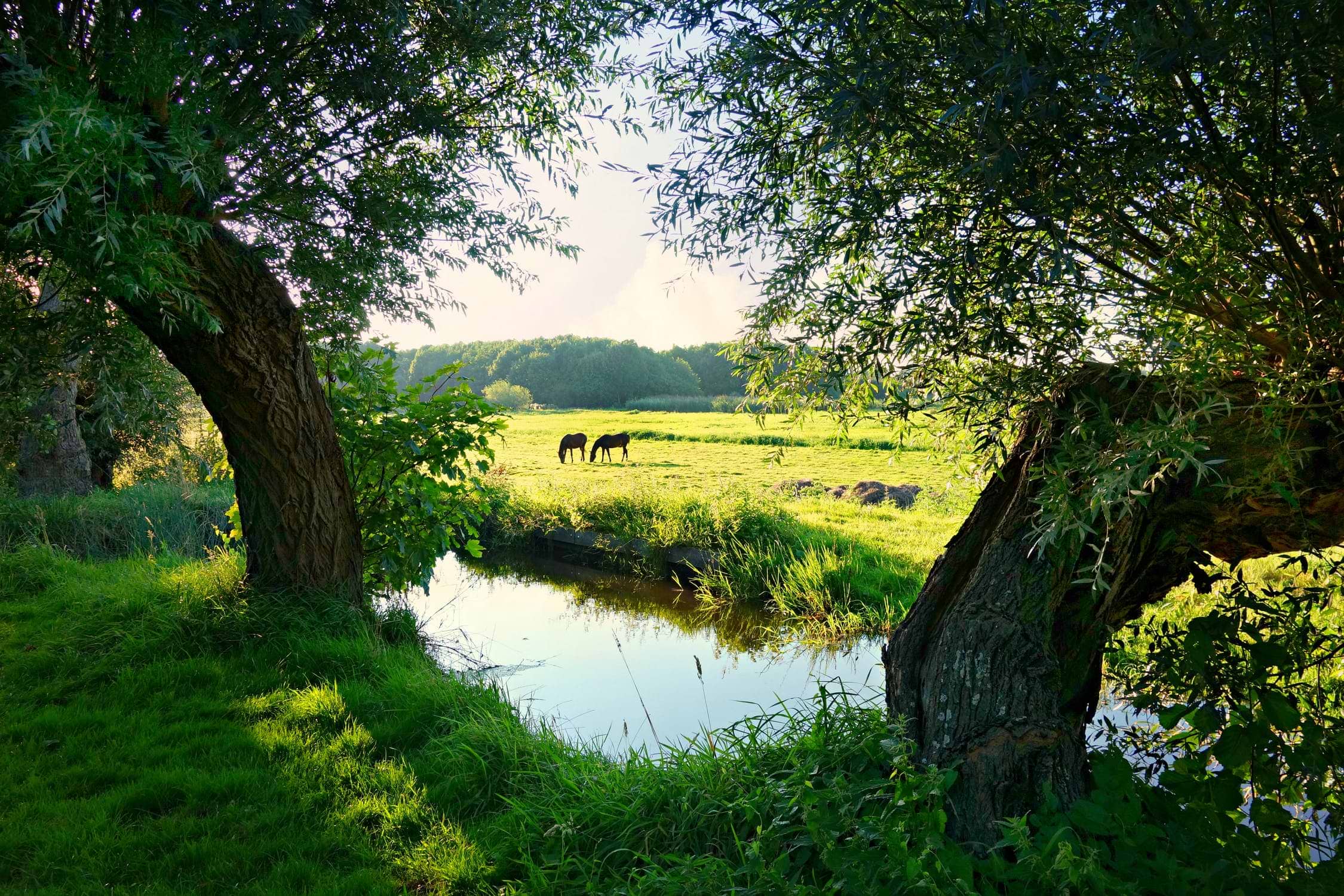 Almere