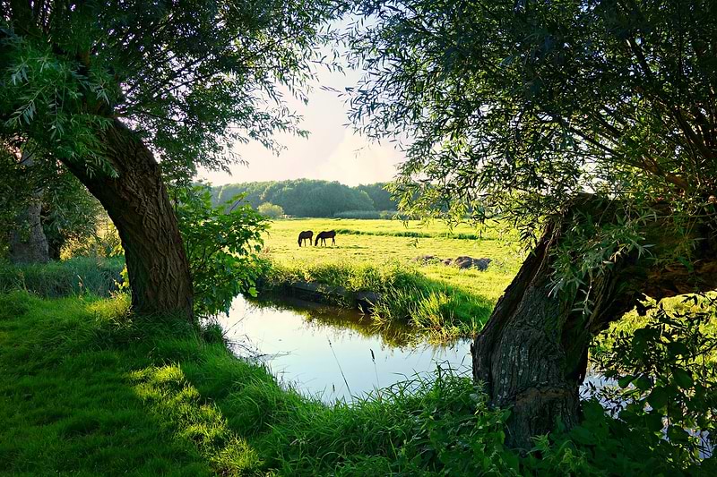 Almere