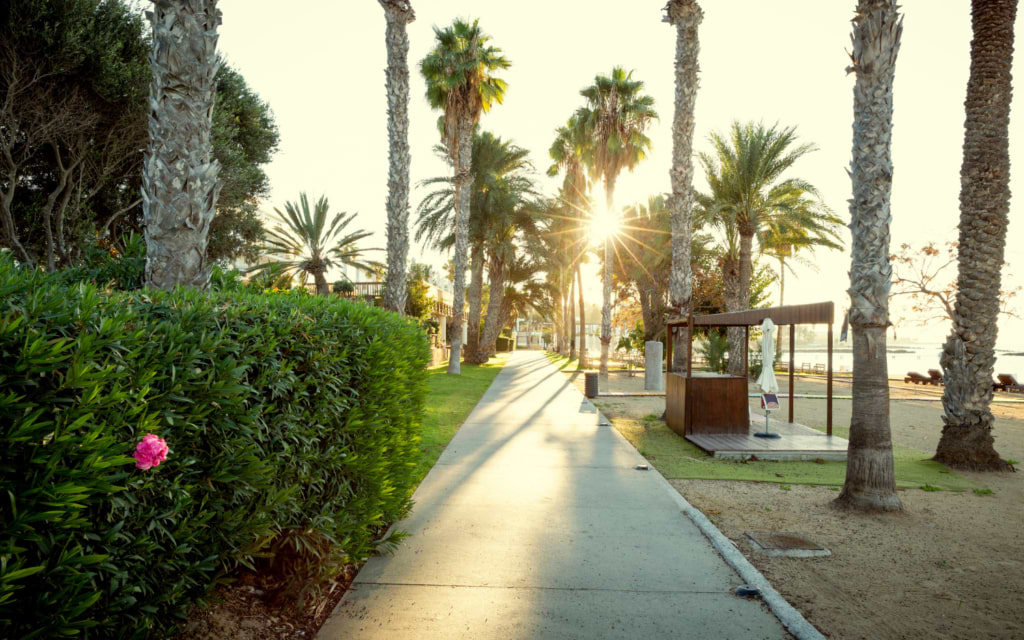 Dasoudi Beach, Limassol