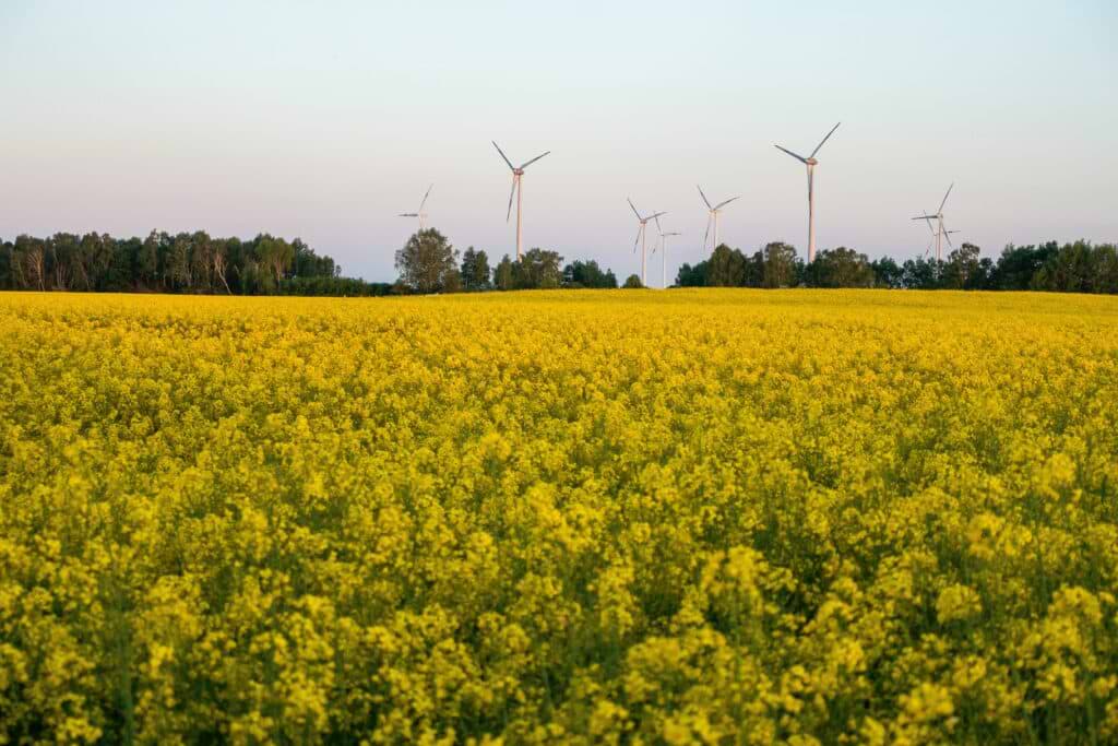 Bike tour in Brandenburg, Germany