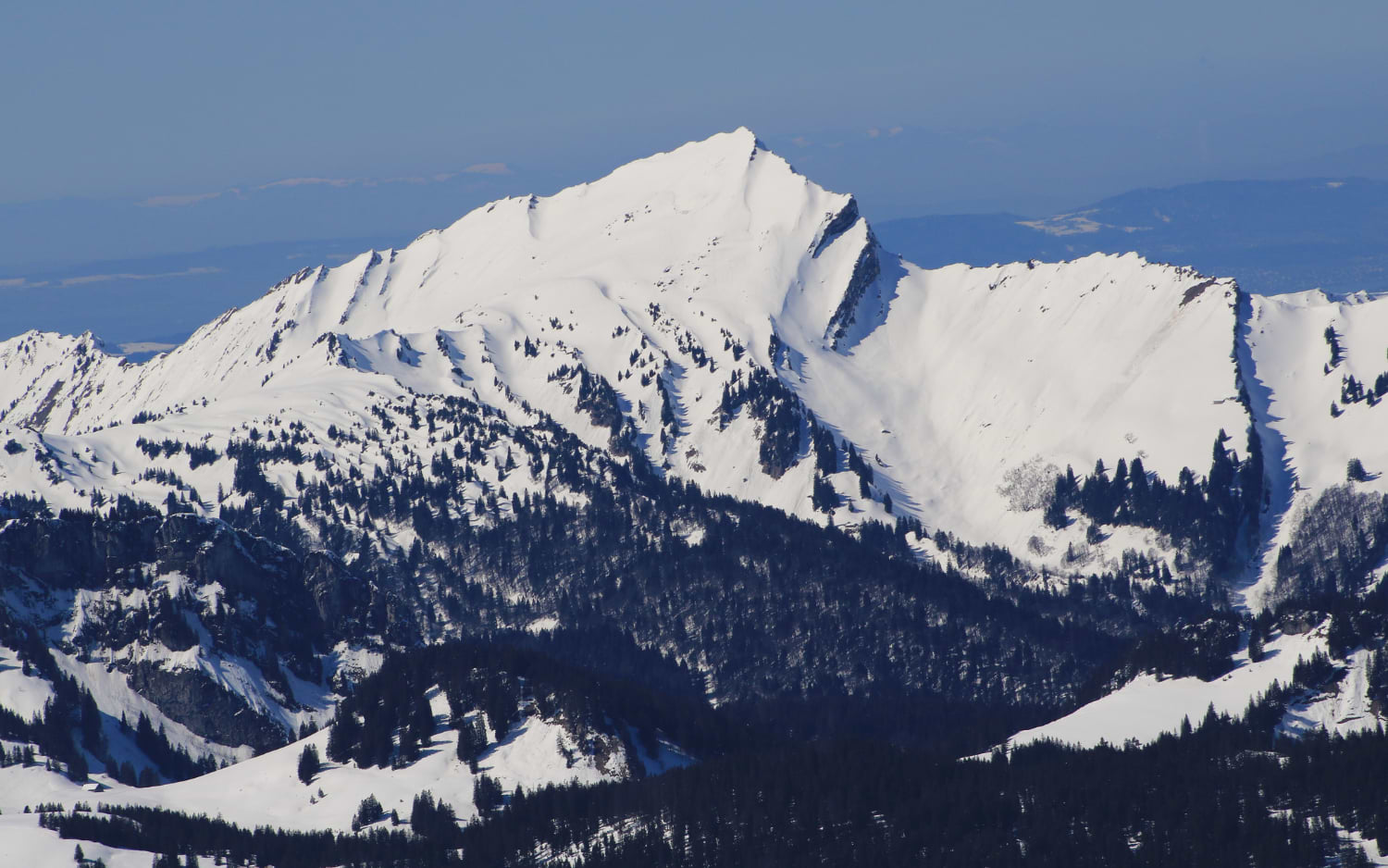 Snow-covered alpine peak rising above dark forested slopes, summit views on the Speer hike