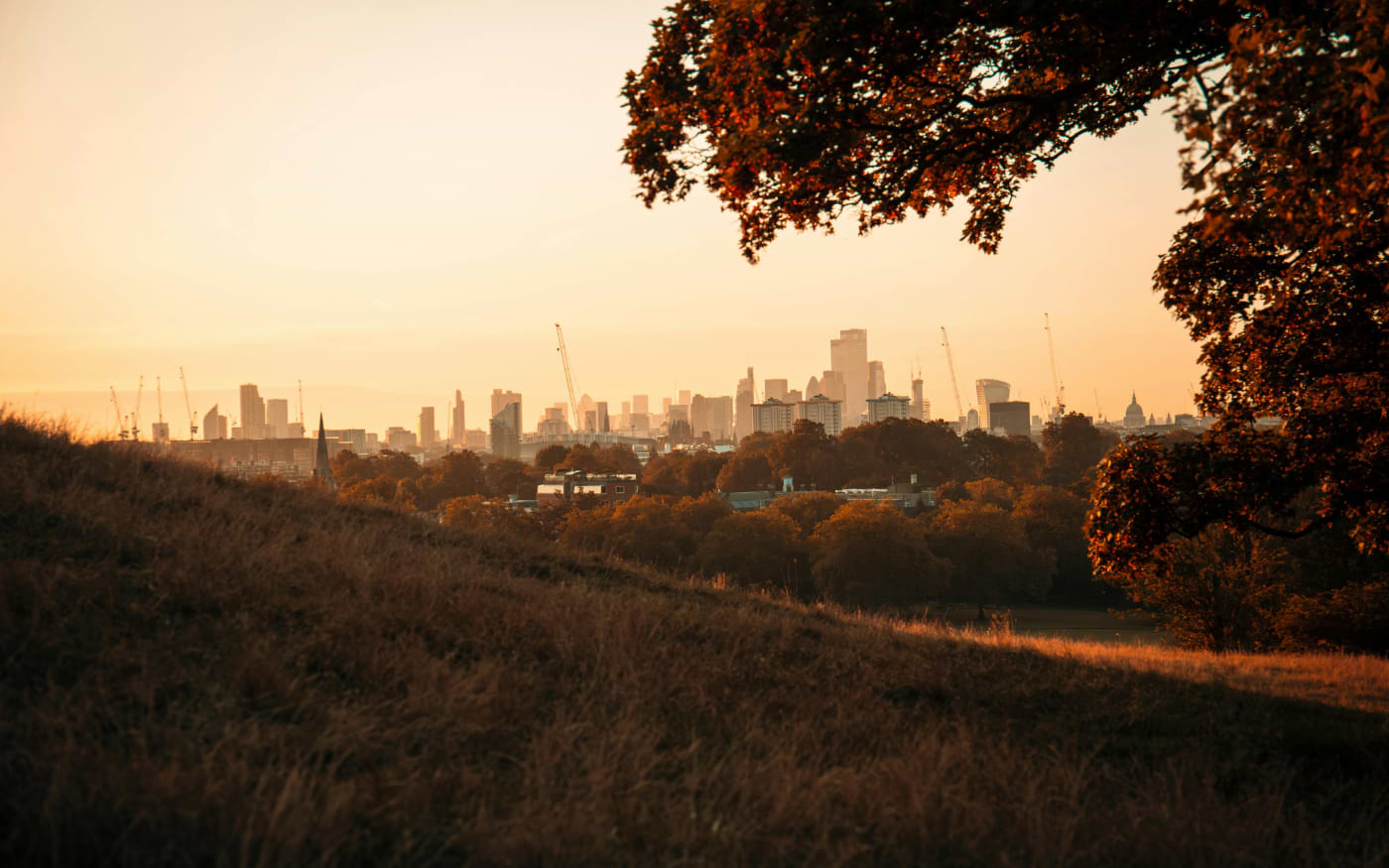 Golden sunset over the London skyline and St Paulās dome seen from a grassy hilltop framed by autumn branches