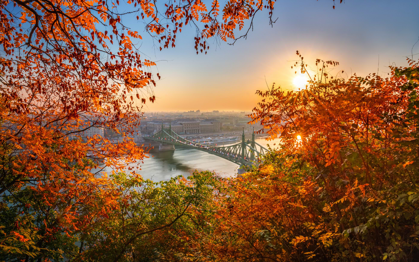 Liberty Bridge over the Danube in Budapest at sunrise, seen through bright orange autumn leaves on the hillside