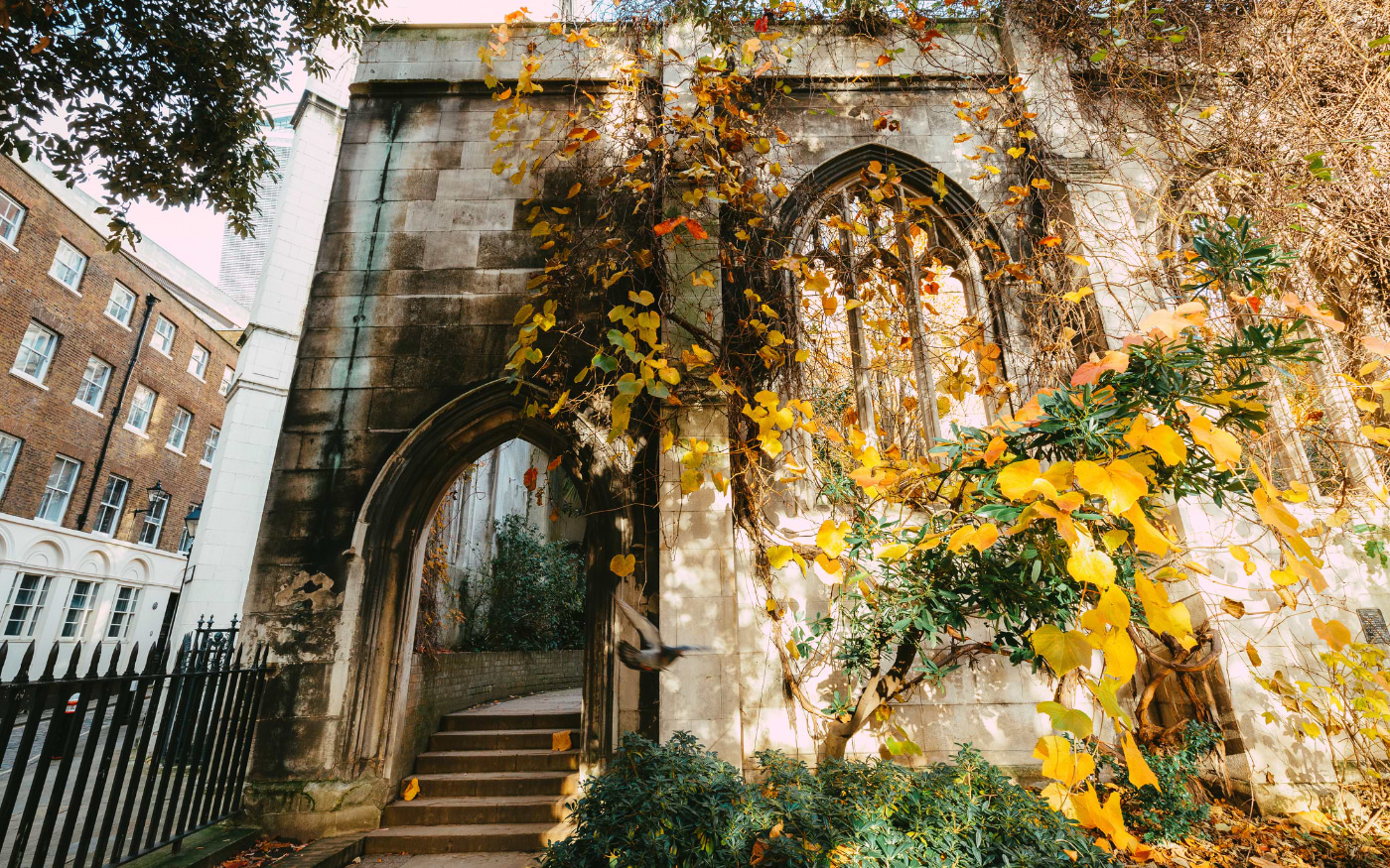 Gothic arched window and doorway of St Dunstan in the East church ruins draped in golden autumn vines