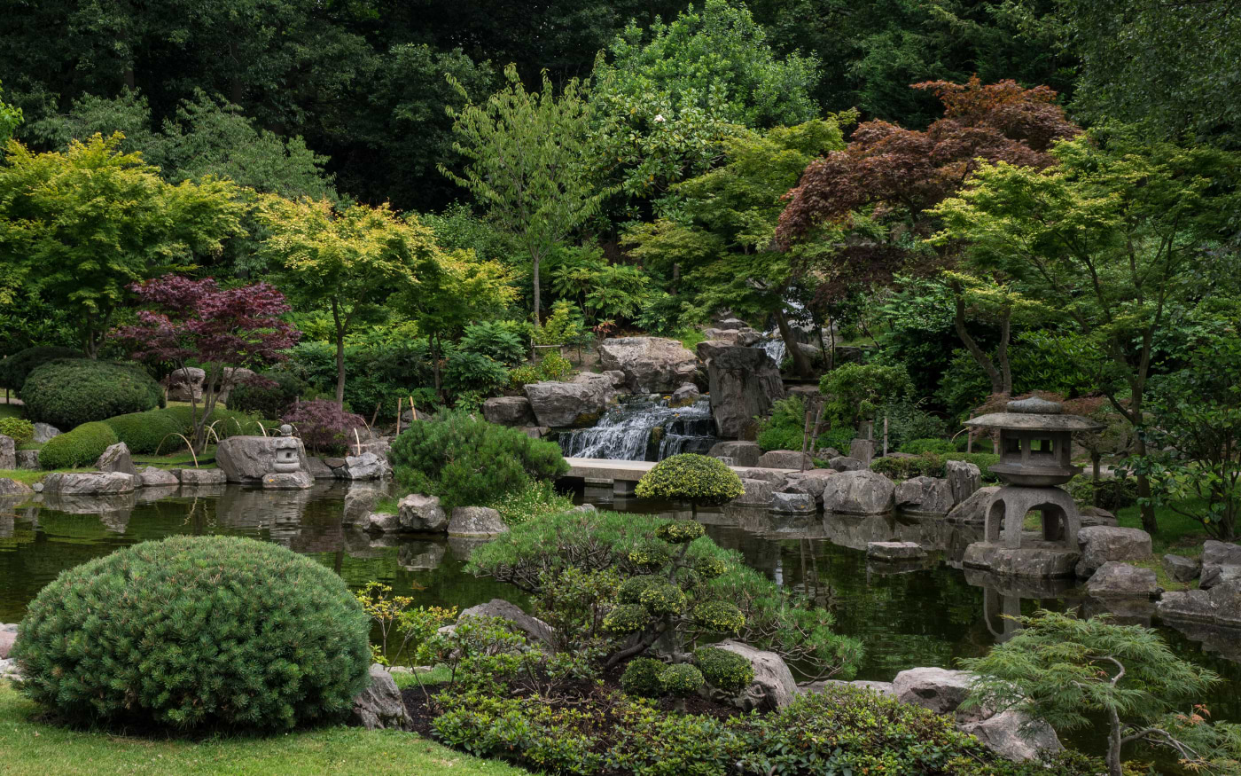 Waterfall, koi pond, stone lantern and Japanese maples in the peaceful Kyoto Garden in Holland Park, London