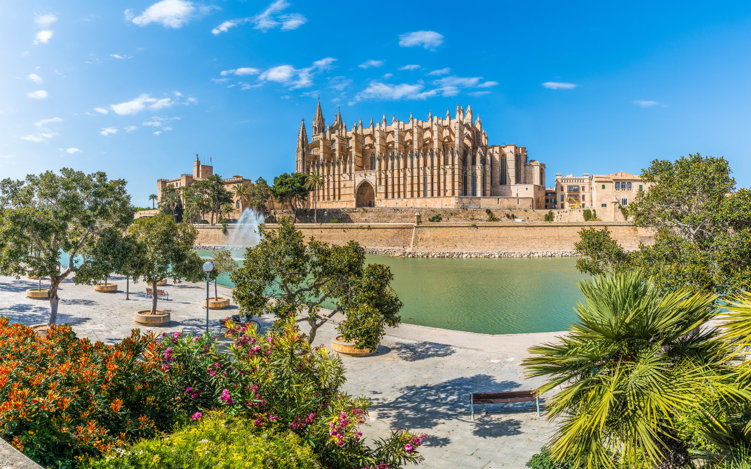 Palma Cathedral, La Seu, rises above a reflecting pool and lush palm gardens, its Gothic spires set against a bright blue Mallorcan sky