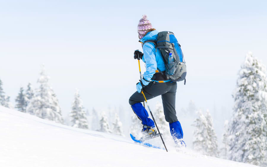 Try Snowshoeing and Cross-Country Skiing in Zurich