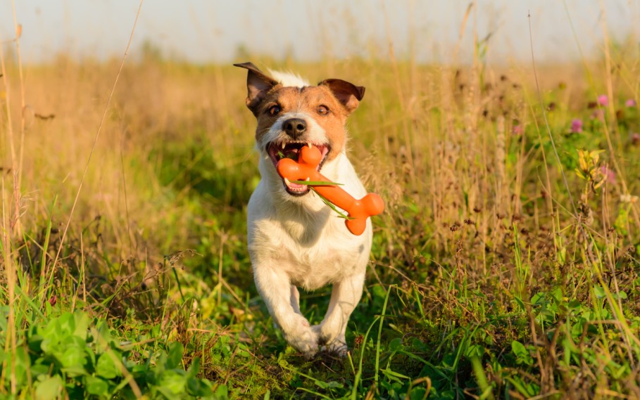Planen Sie entspannende Pausen im Freien ein