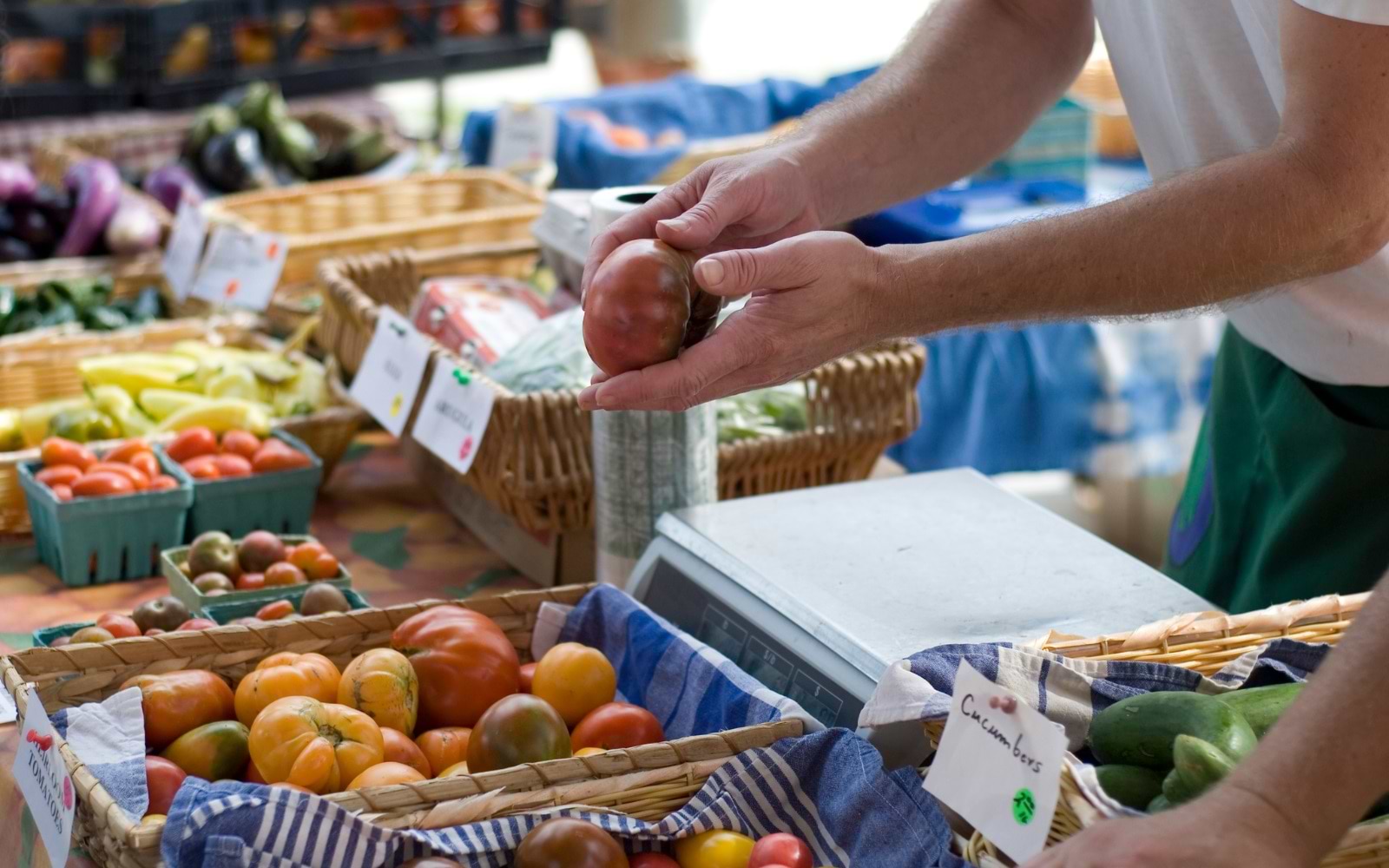 	Vendor holds a heirloom tomato above a scale beside baskets of tomatoes and a cucumbers sign at a farmers market
