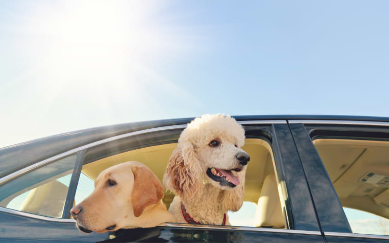 Machen Sie kurze „Übungsausflüge“