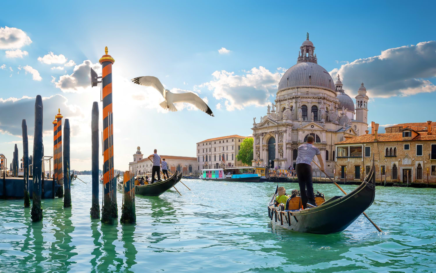 Gondolieri auf dem Canal Grande in Venedig vor der Basilika Santa Maria della Salute (85 — expanded:) Gondolieri rudern auf dem Canal Grande in Venedig mit der Kirche Santa Maria della Salute im Hintergrund
