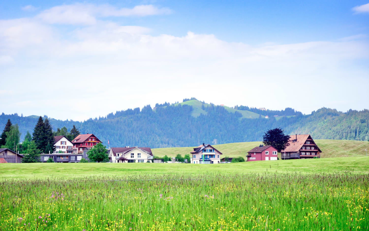 Traditional Swiss village with chalet houses in a green flowering meadow near the Etzel hiking region