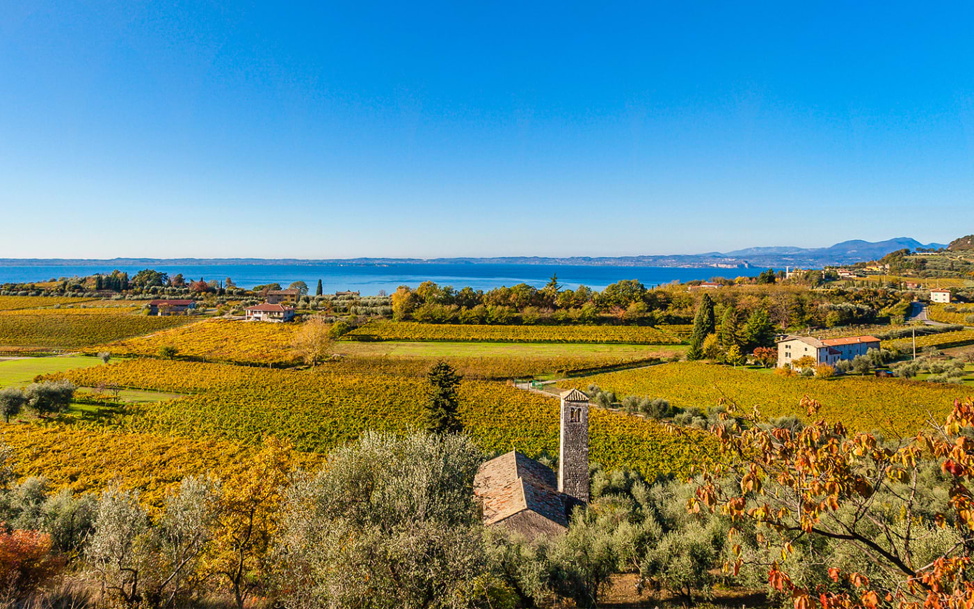 Golden autumn vineyards and olive groves around a small stone bell tower, with Lake Garda glittering under a clear sky