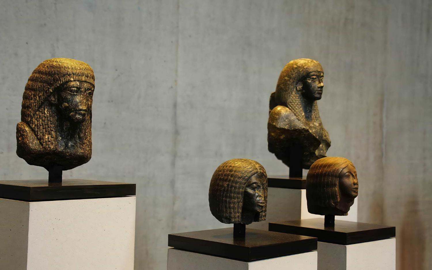 Ancient Egyptian stone head sculptures of varying sizes, displayed on white pedestals inside Munich's Egyptian Art Museum galleries.
