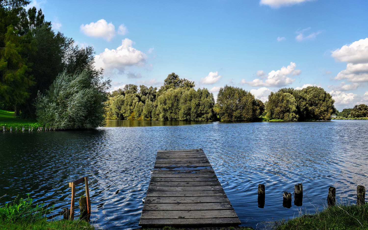 Wooden jetty on a calm lake with green trees and small islands, PfƤffikersee circular trail