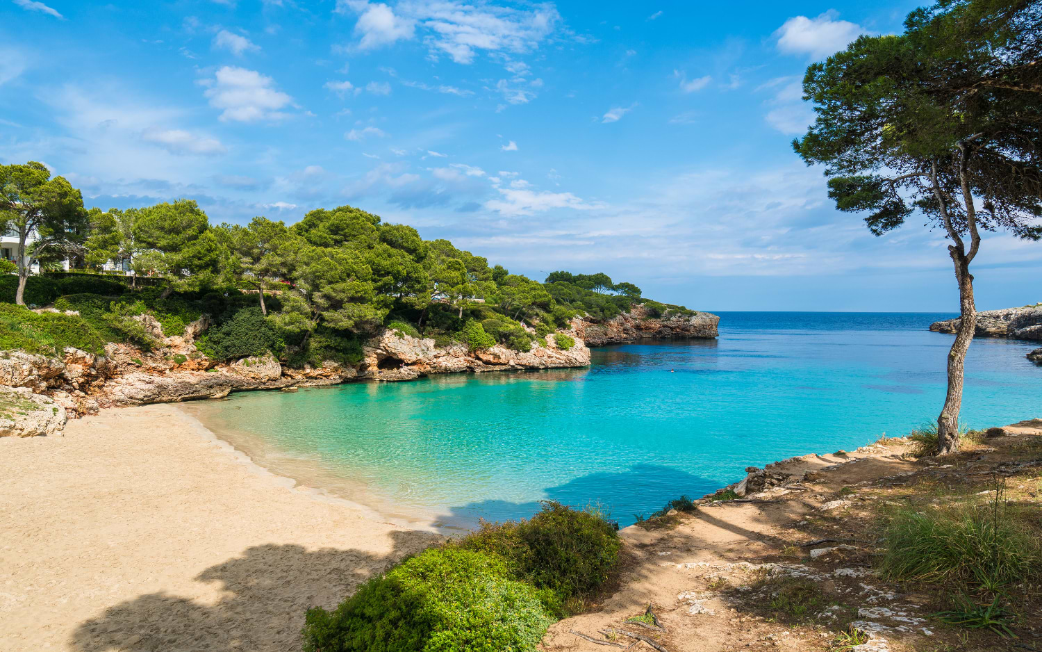A secluded cove near Palma de Mallorca reveals turquoise water, soft white sand and pine trees clinging to the rocky coastline.