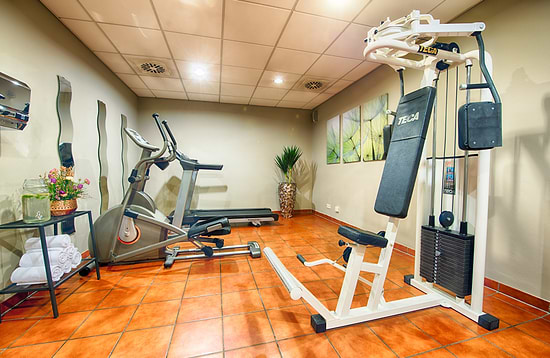 Leonardo Hotel Mannheim-Ladenburg - Fitnessstudio