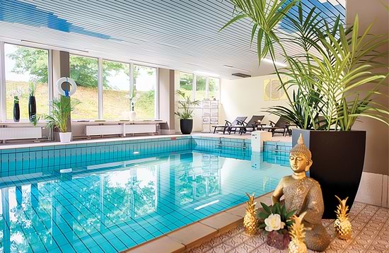 Leonardo Hotel Heidelberg-Walldorf - Внутренний бассейн