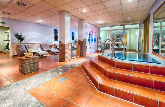 Leonardo Hotel Mannheim-Ladenburg - Wellness