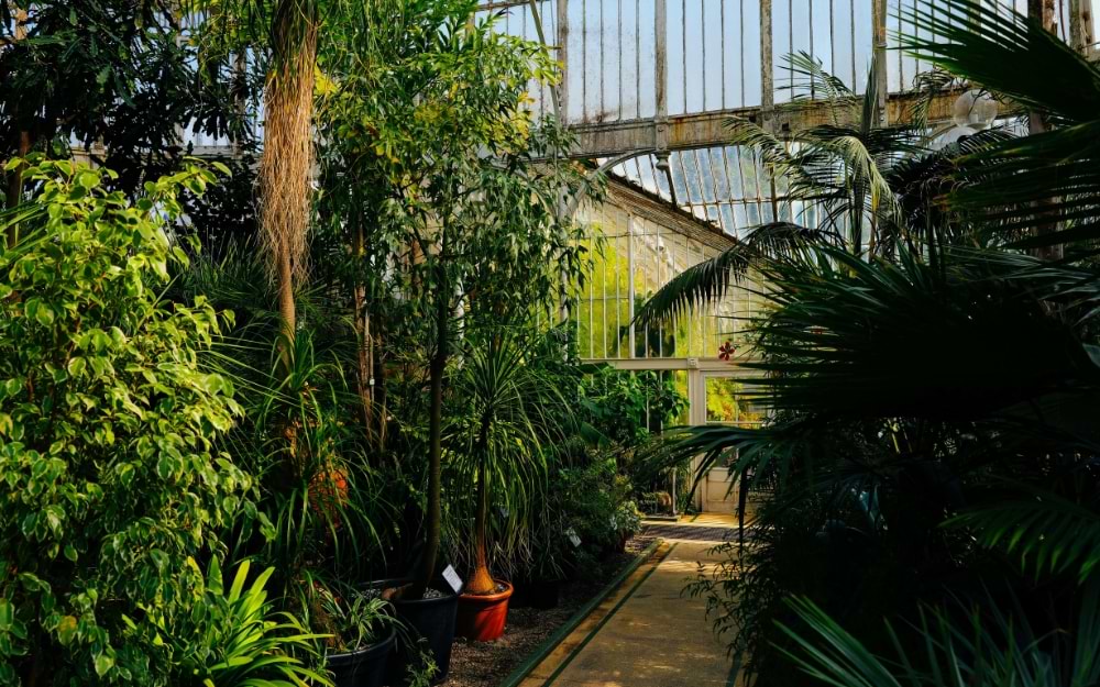 Linz Botanical Garden