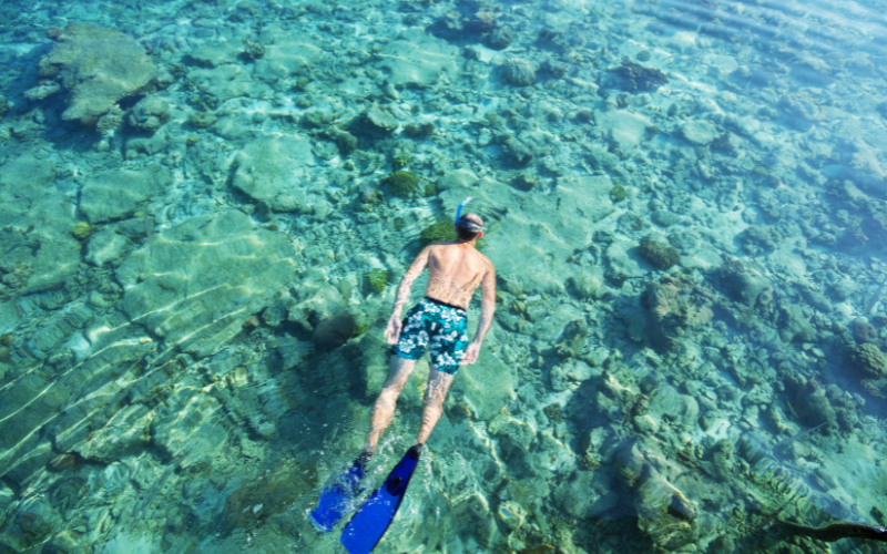 Find out what are the best beaches in Ibiza for snorkelling