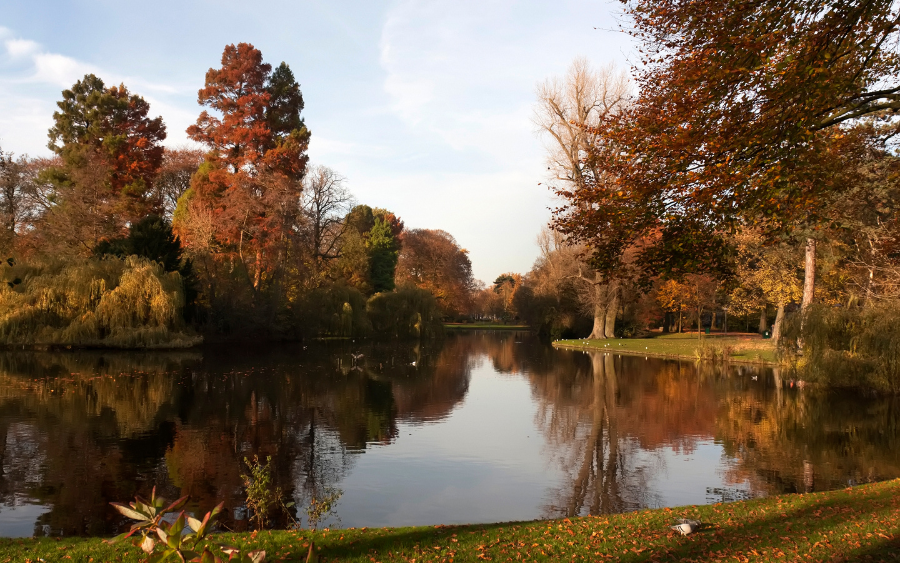 Griftpark in fall, Utrecht