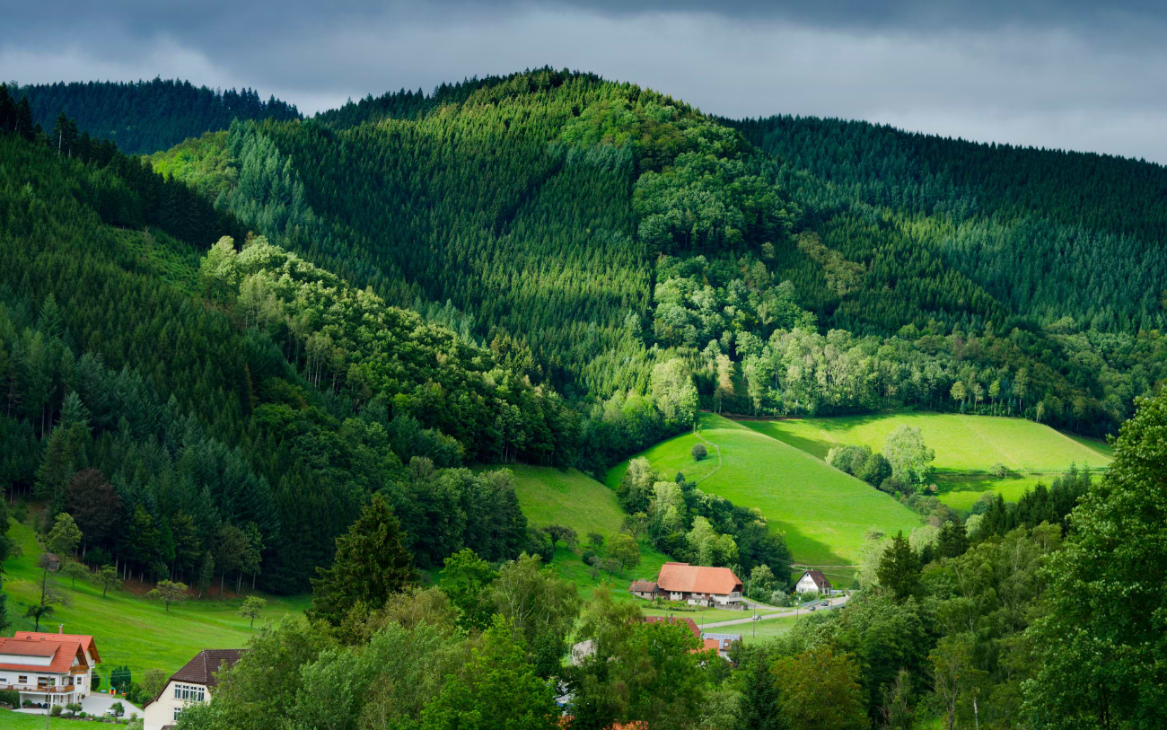 Schwarzwald, Deutschland