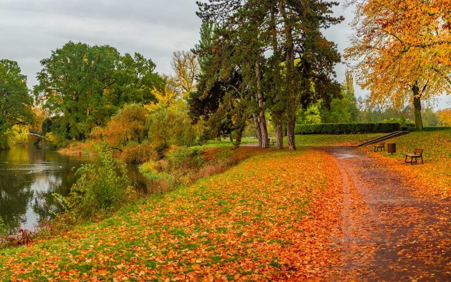 Rotehornpark in fall, Magdeburg, Germany
