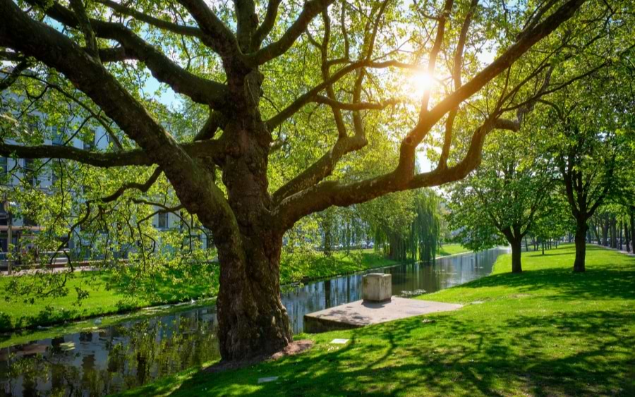 Het Park, Rotterdam, Netherlands