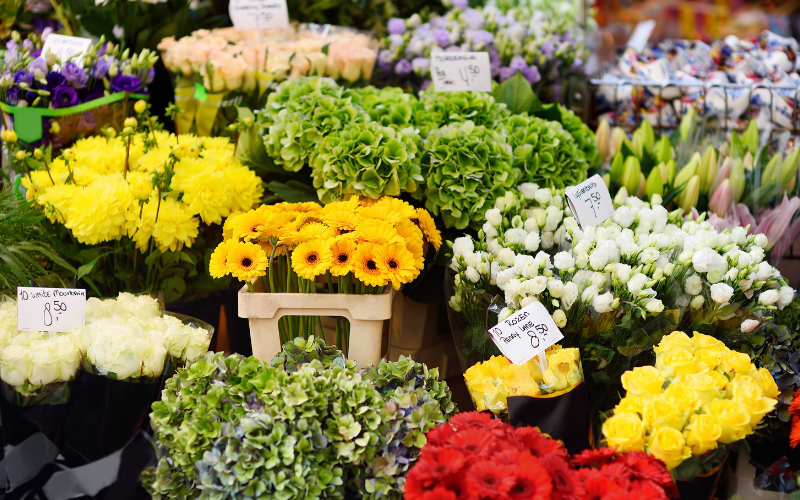 Flower stall at the Amsterdam Flower Market