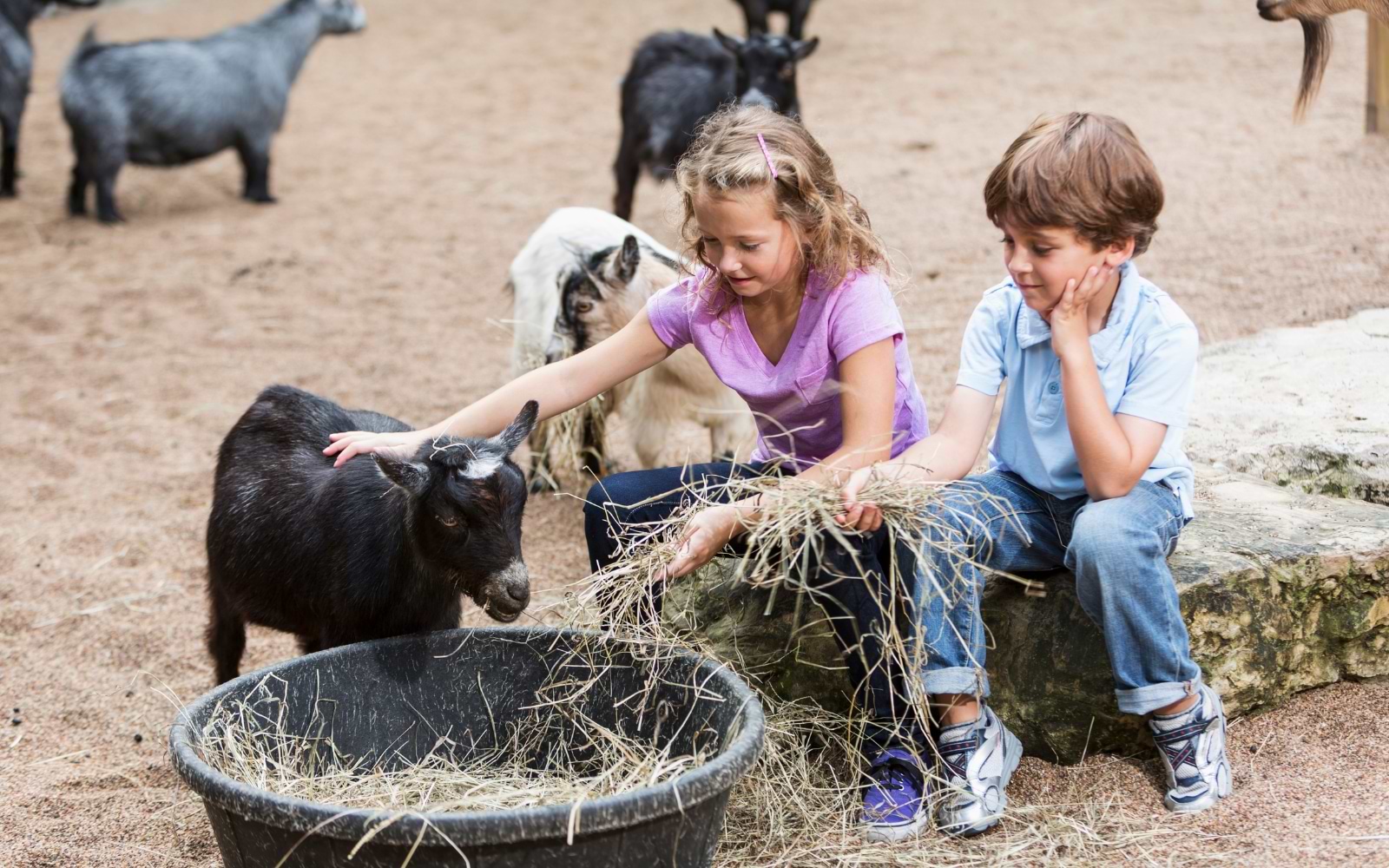 visit munich zoo with kids