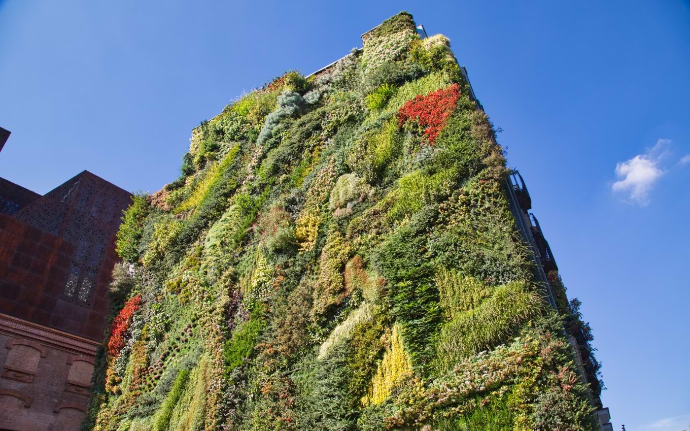 Madrid Caixa Forum Museum