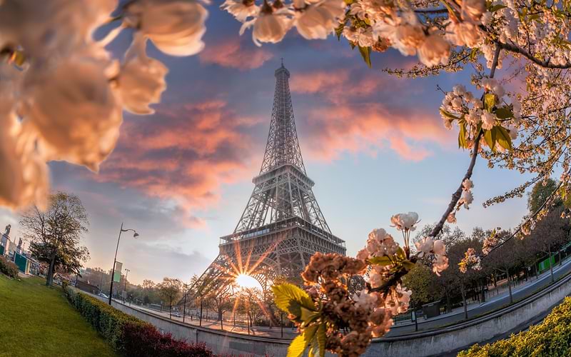 where to see cherry blossom in europe this year: paris, berlin, bonn and more