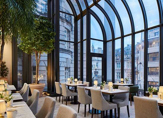 The Dilly Terrace