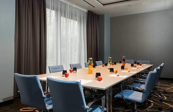 Leonardo Hotel Offenbach Frankfurt - Meeting Room