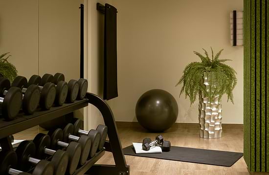 Leonardo Royal Hotel Monaco di Baviera - Palestra