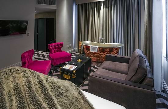 The REX Suite
