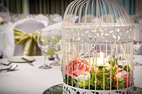 Leonardo Hotel and Conference Venue Aberdeen Airport - Свадьбы
