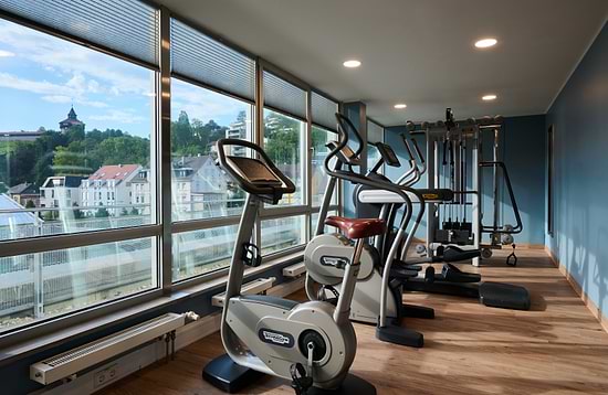 Leonardo Hotel Esslingen - Palestra