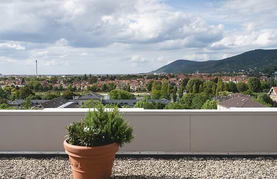 Leonardo Hotel Heidelberg City Center - Terrace