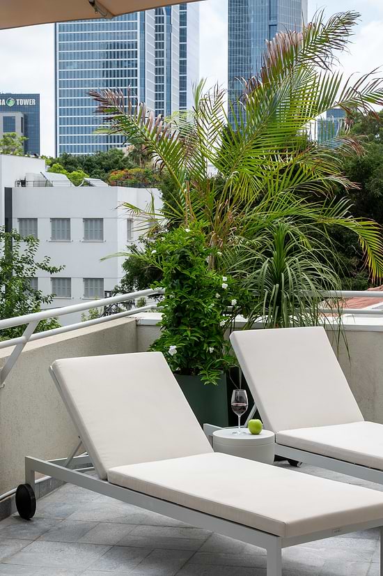 One Bedroom with Large Terrace and Sofa Bed - Terrace