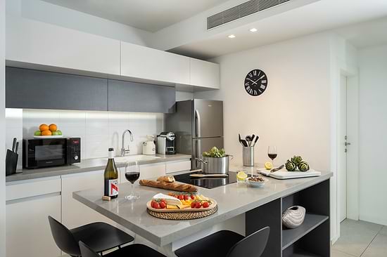 One Bedroom Apartment with Balcony - Kitchenette