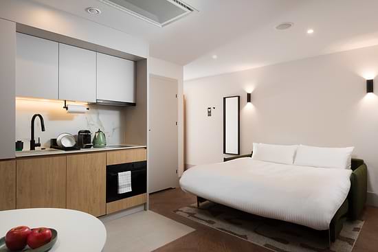 Studio with Sofa Bed - kitchenette and Sofa Bed