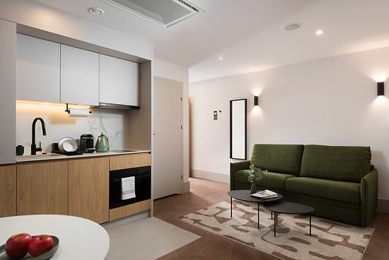 Studio with Sofa Bed - kitchenette