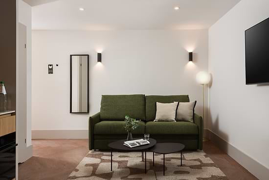 Studio with Sofa Bed - Sofa Bed
