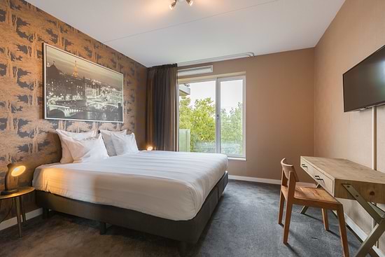 Leonardo Hotel Papendrecht - 多居室公寓 1张双人床 1张单人床