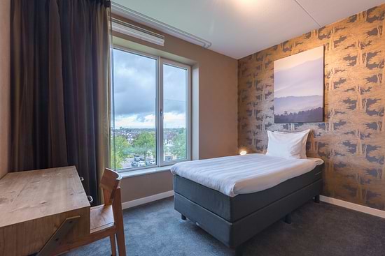 Leonardo Hotel Papendrecht - 多居室公寓 1张双人床 1张单人床