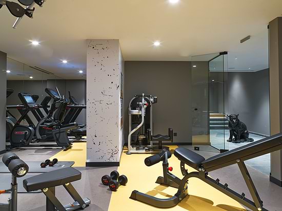 NYX Esperia Palace Hotel Athens - GYM