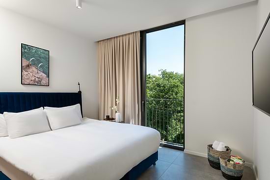 master Shenkin - Bedroom